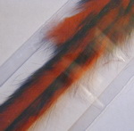 barred rabbit strips black /orange Hends